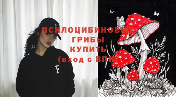 прущие крисы Армянск